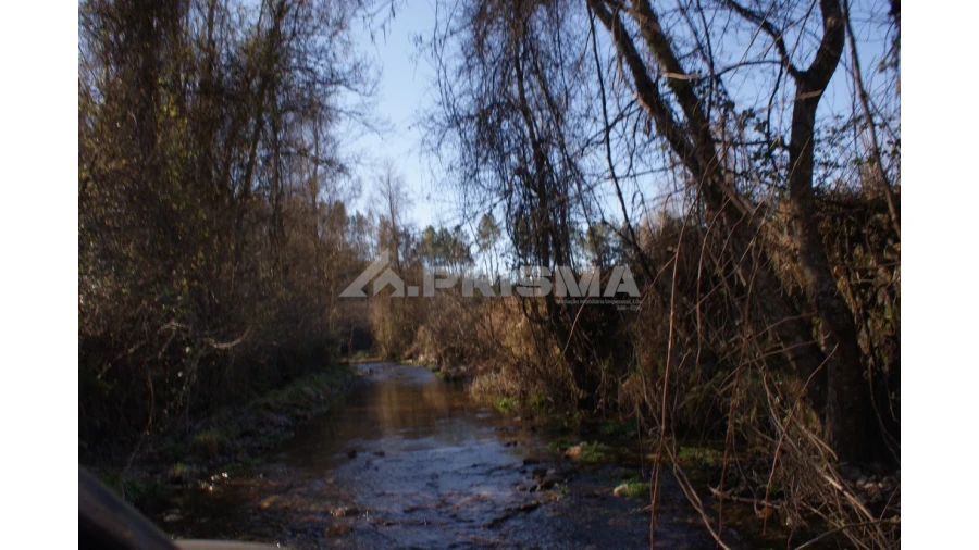 Quinta para Venda em Janeiro de Cima e Bogas de Baixo Foto 3