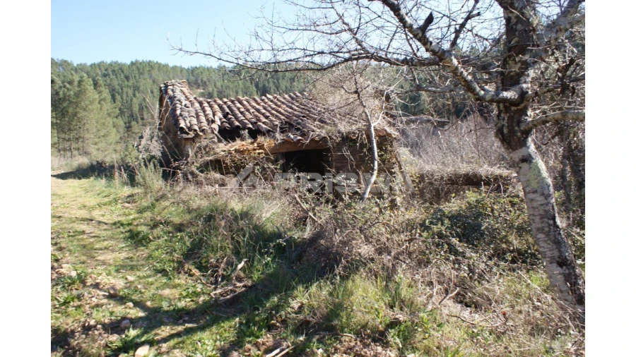 Quinta para Venda em Janeiro de Cima e Bogas de Baixo Foto 4