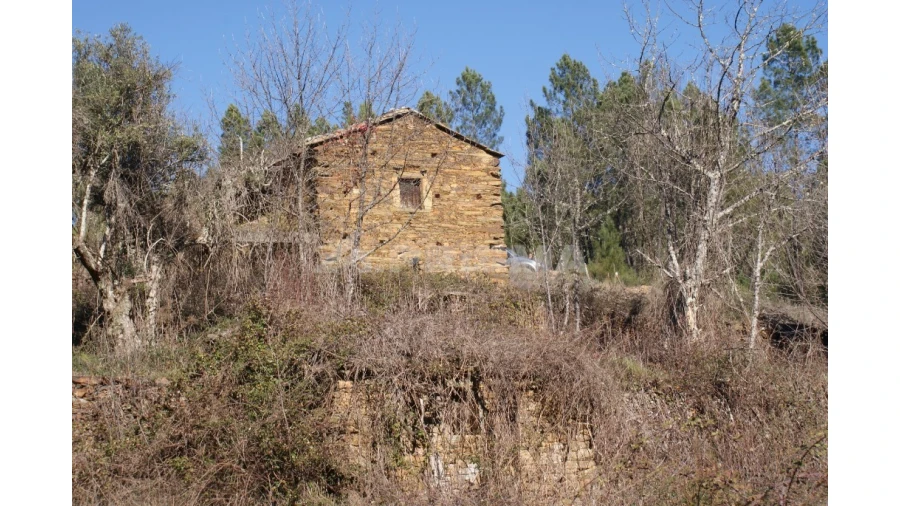 Quinta para Venda em Janeiro de Cima e Bogas de Baixo Foto 14