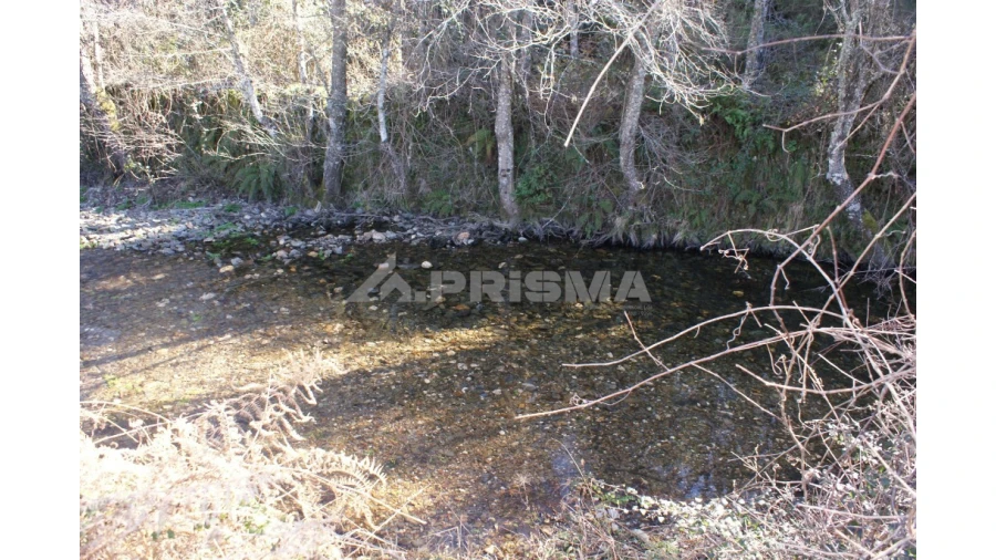 Quinta para Venda em Janeiro de Cima e Bogas de Baixo Foto 16