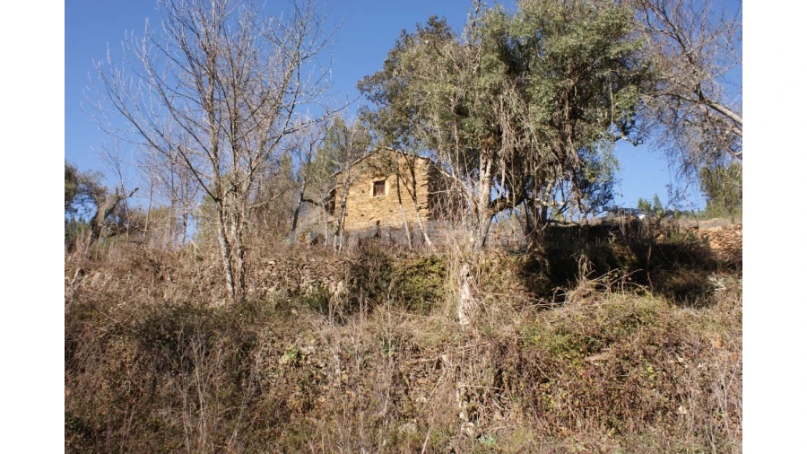 Quinta para Venda em Janeiro de Cima e Bogas de Baixo Foto 18