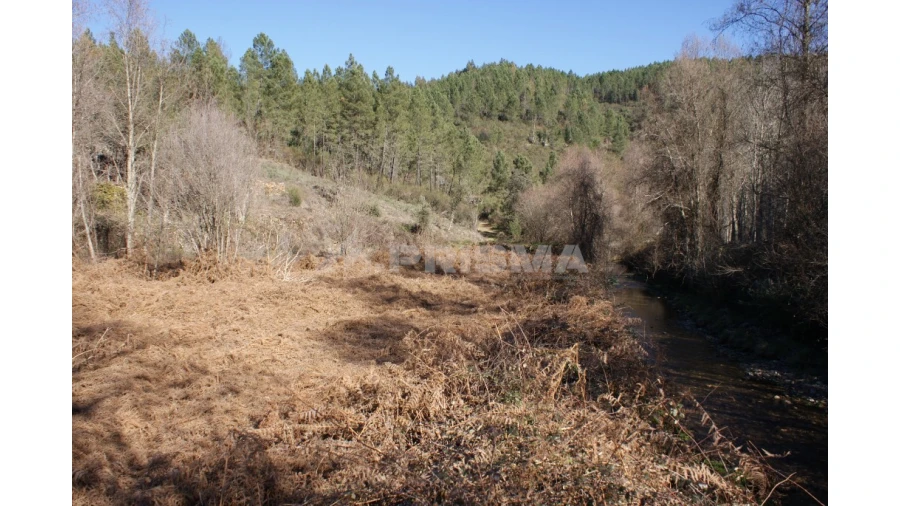 Quinta para Venda em Janeiro de Cima e Bogas de Baixo Foto 17