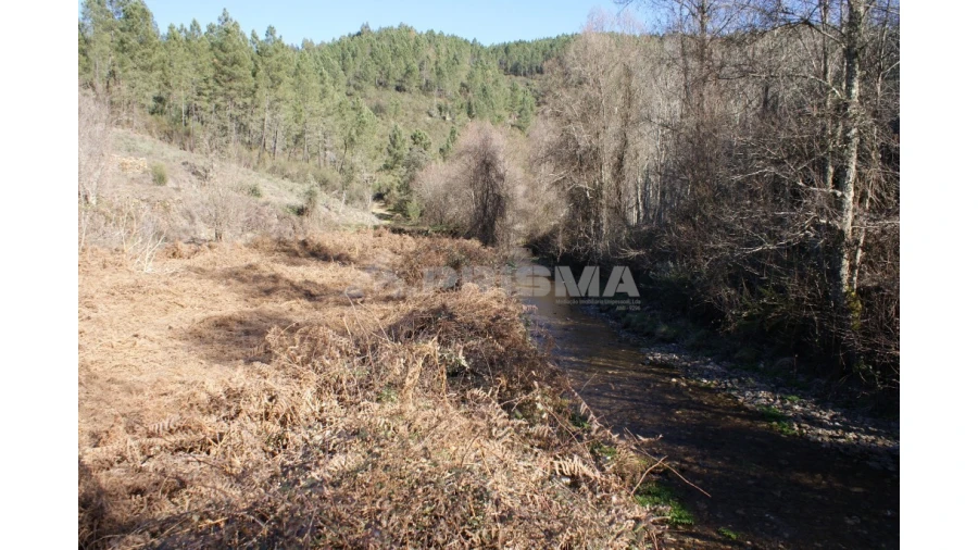 Quinta para Venda em Janeiro de Cima e Bogas de Baixo Foto 15