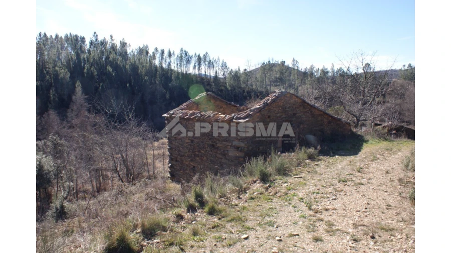 Quinta para Venda em Janeiro de Cima e Bogas de Baixo Foto 1