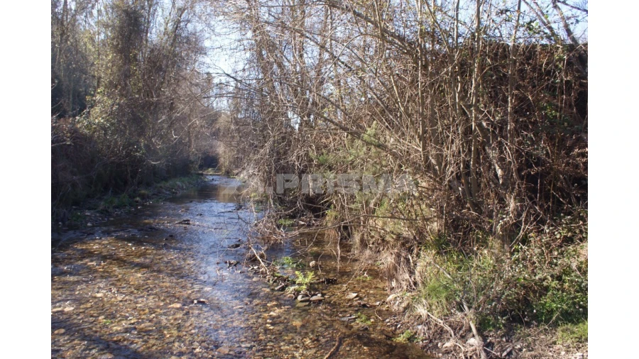 Quinta para Venda em Janeiro de Cima e Bogas de Baixo Foto 12