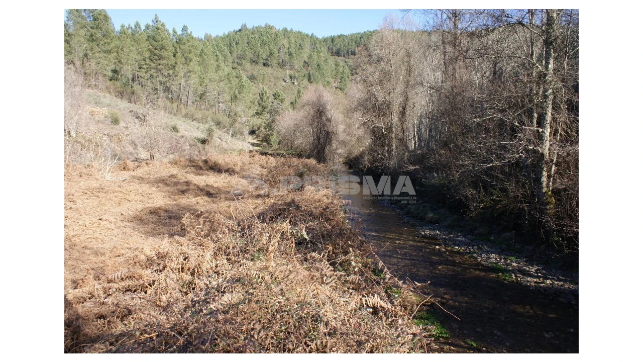 Quinta para Venda em Janeiro de Cima e Bogas de Baixo Foto 15