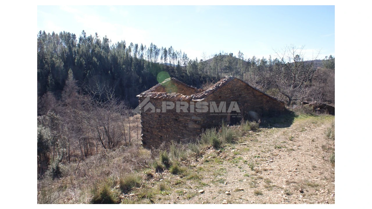 Quinta para Venda em Janeiro de Cima e Bogas de Baixo Foto 1