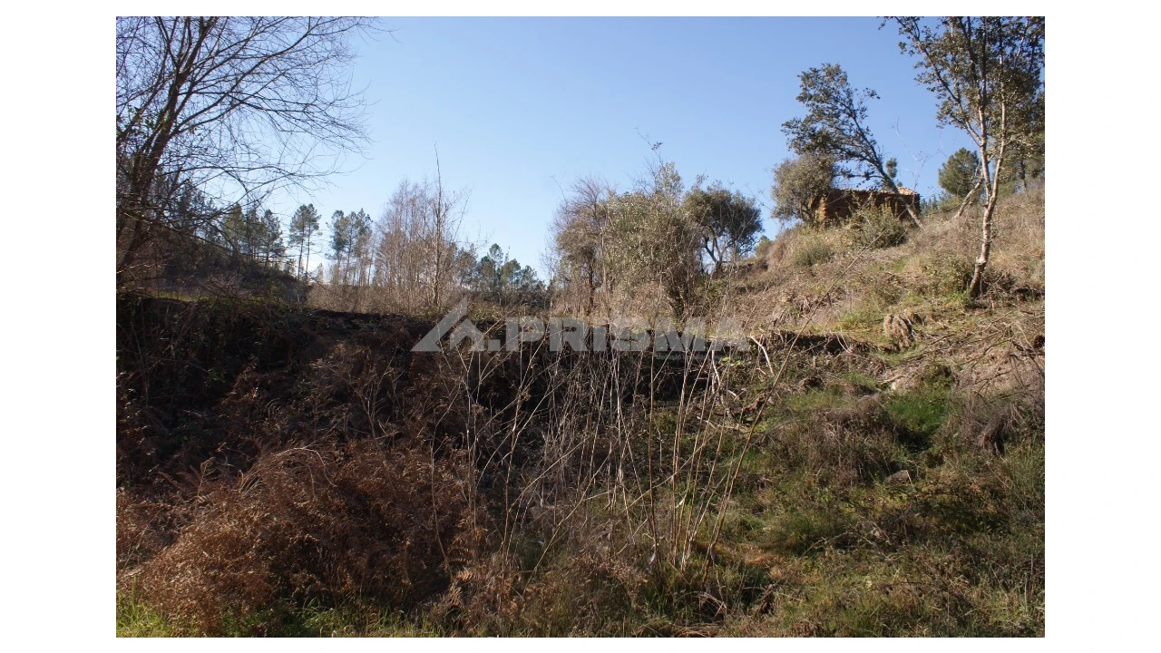 Quinta para Venda em Janeiro de Cima e Bogas de Baixo Foto 11