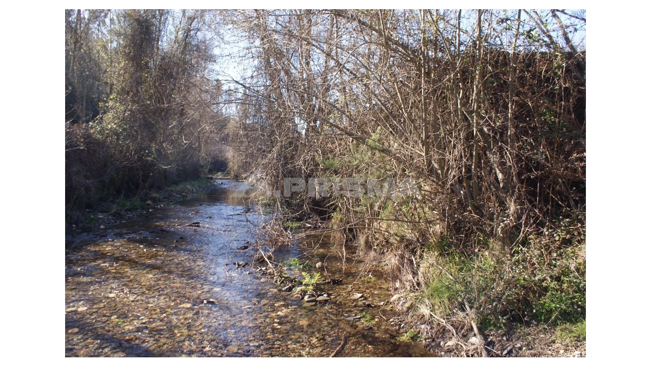 Quinta para Venda em Janeiro de Cima e Bogas de Baixo Foto 12