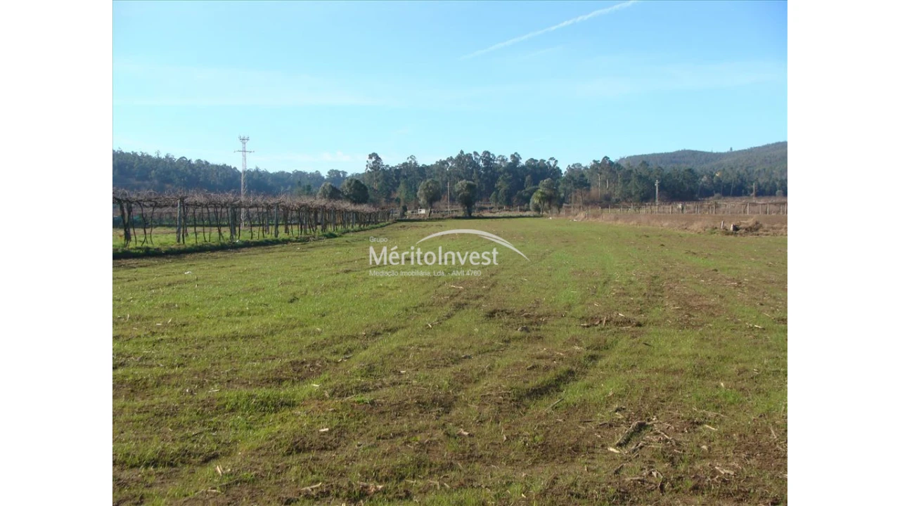 Terreno para Venda em Silva Foto 2