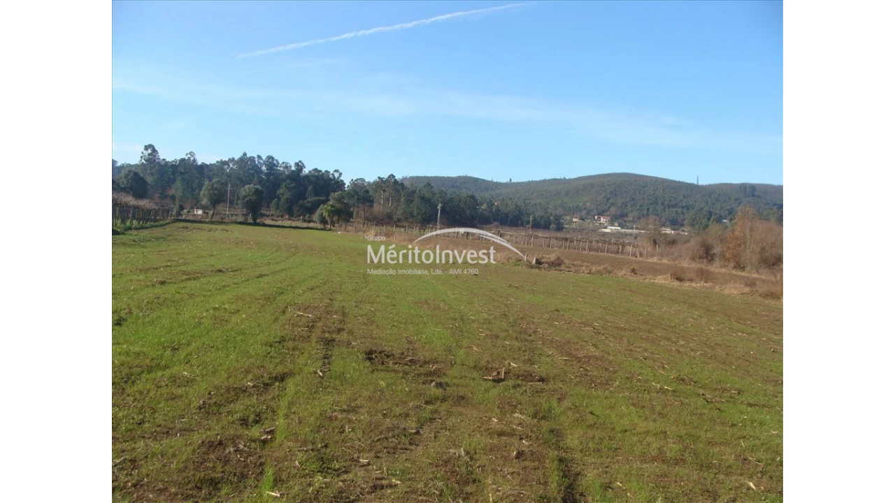 Terreno para Venda em Silva Foto 3