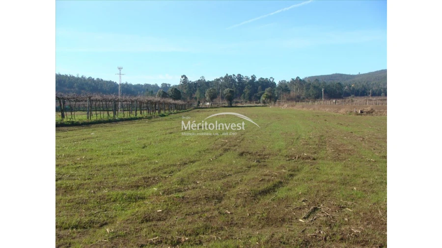 Terreno para Venda em Silva Foto 2