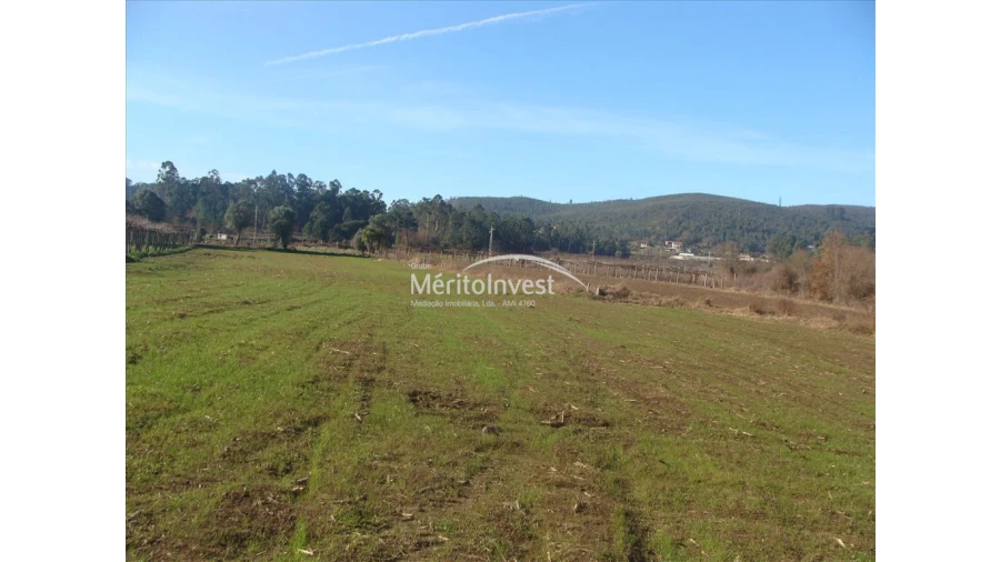 Terreno para Venda em Silva Foto 3