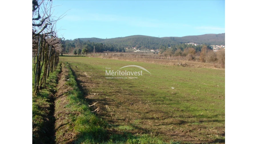 Terreno para Venda em Silva