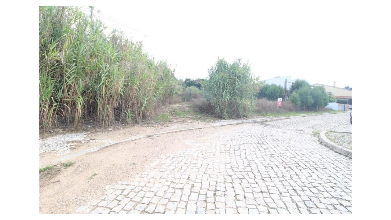 Terreno para Venda em Assafarge e Antanhol Foto 6