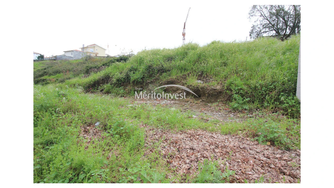 Terreno para Venda em Ferreiros e Gondizalves Foto 1