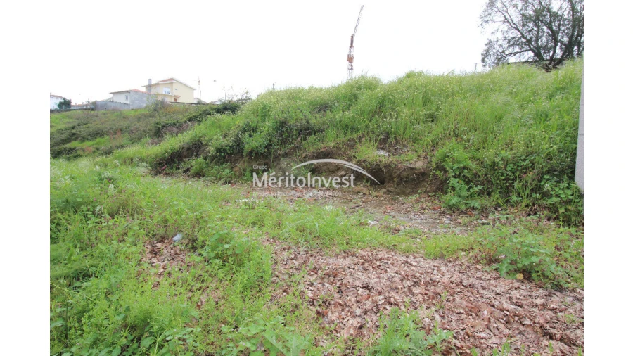Terreno para Venda em Ferreiros e Gondizalves