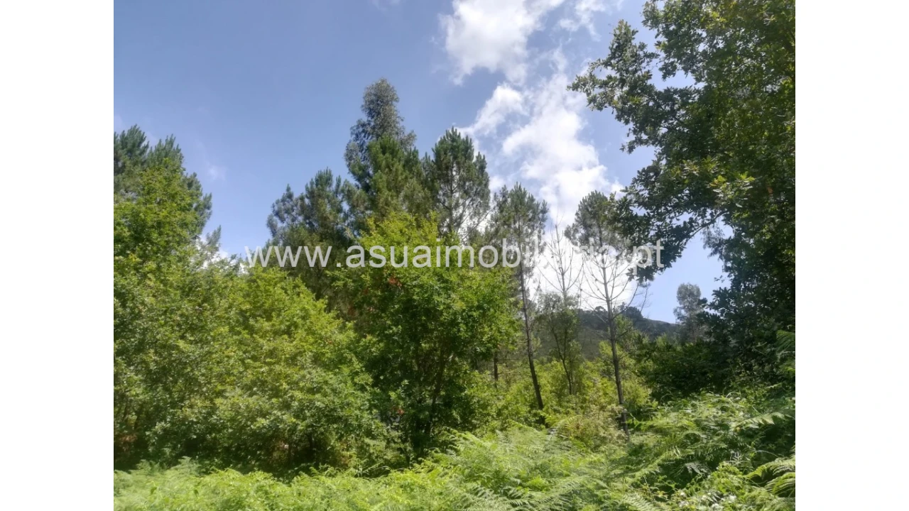 Terreno para Venda em Caldelas, Sequeiros e Paranhos Foto 4