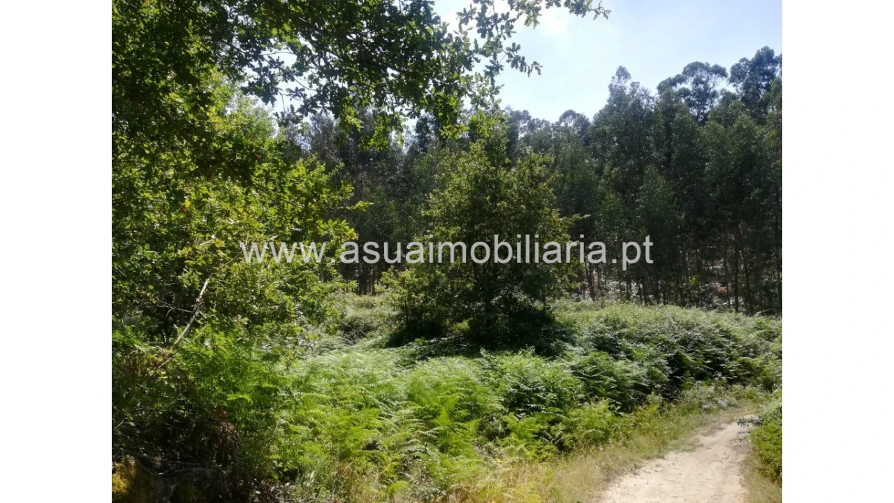 Terreno para Venda em Caldelas, Sequeiros e Paranhos Foto 3
