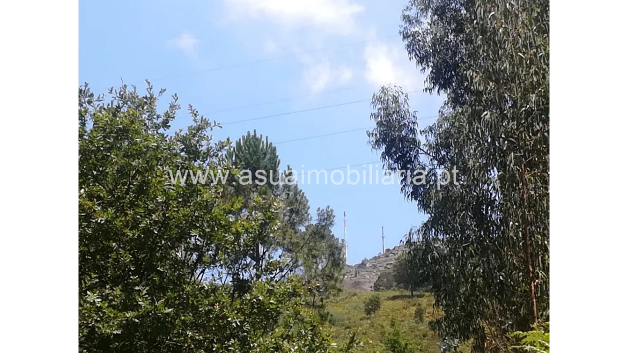 Terreno para Venda em Caldelas, Sequeiros e Paranhos Foto 7