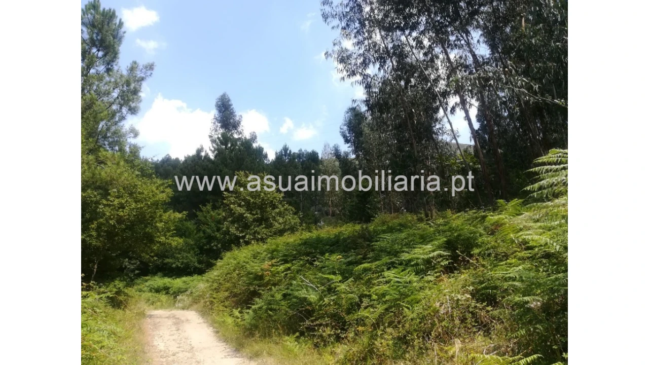 Terreno para Venda em Caldelas, Sequeiros e Paranhos Foto 6