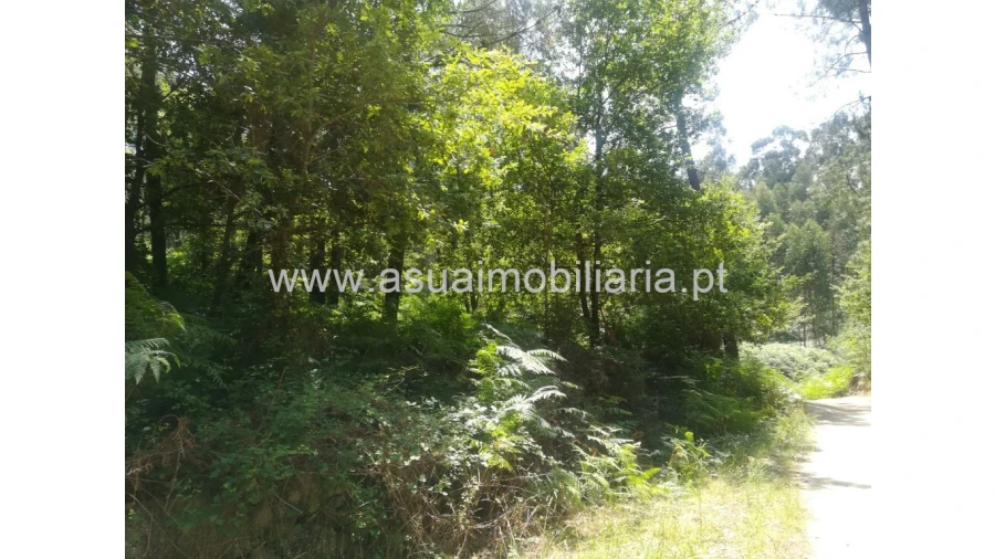 Terreno para Venda em Caldelas, Sequeiros e Paranhos Foto 2