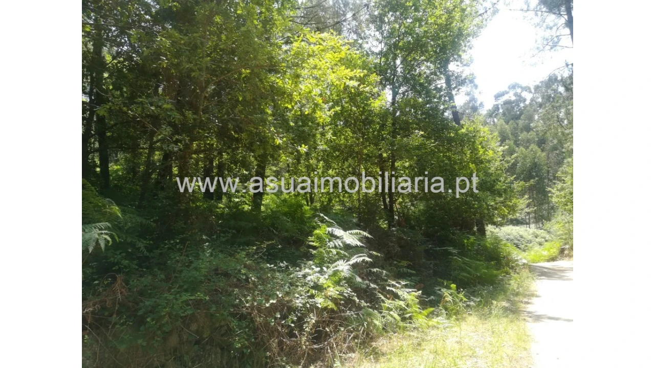 Terreno para Venda em Caldelas, Sequeiros e Paranhos Foto 2