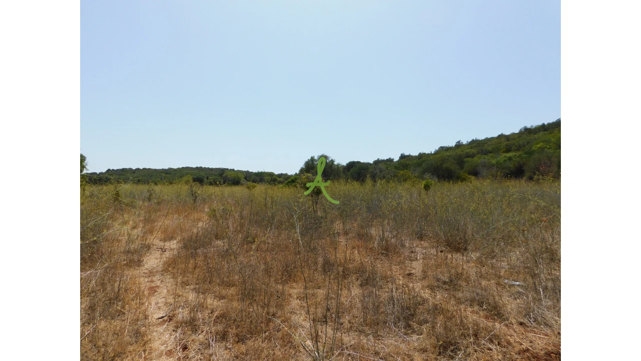 Terreno para Venda em Mexilhoeira Grande Foto 23