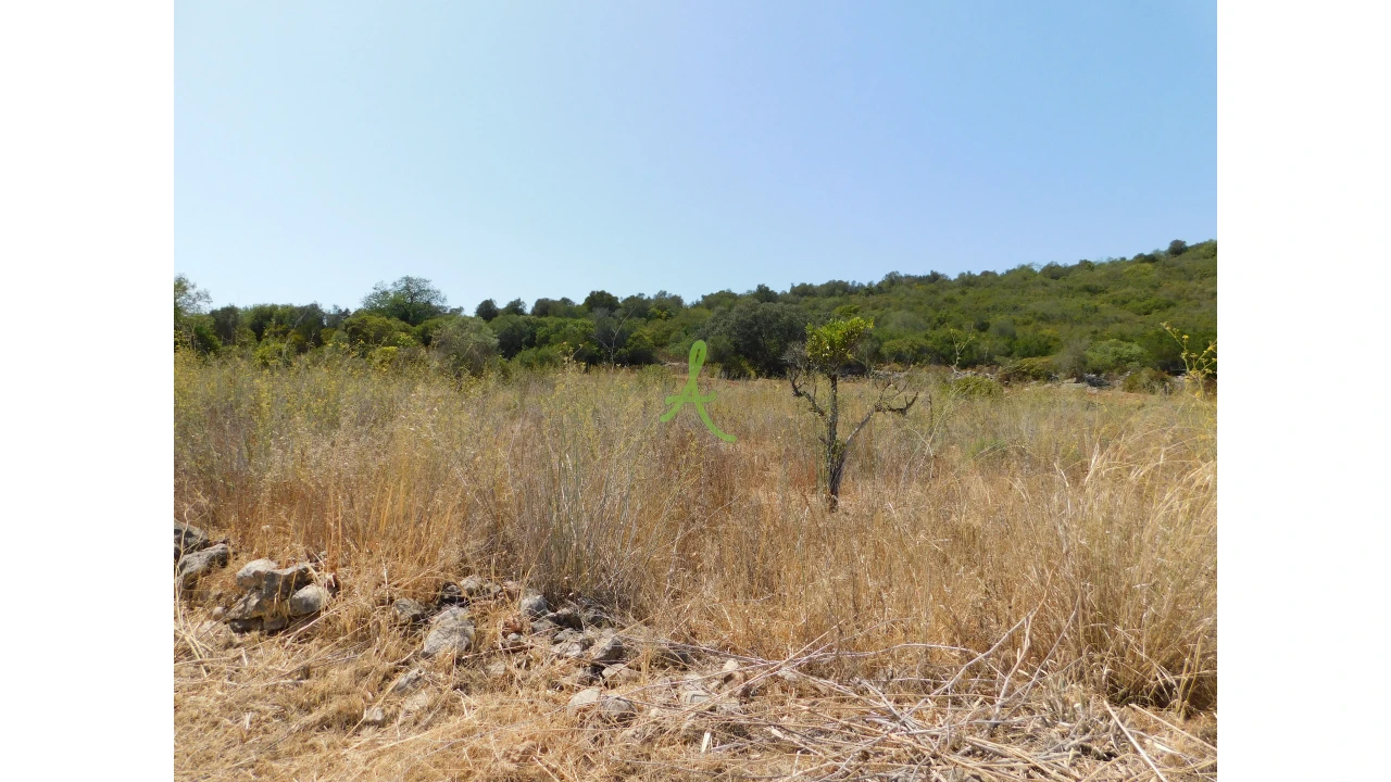 Terreno para Venda em Mexilhoeira Grande Foto 18