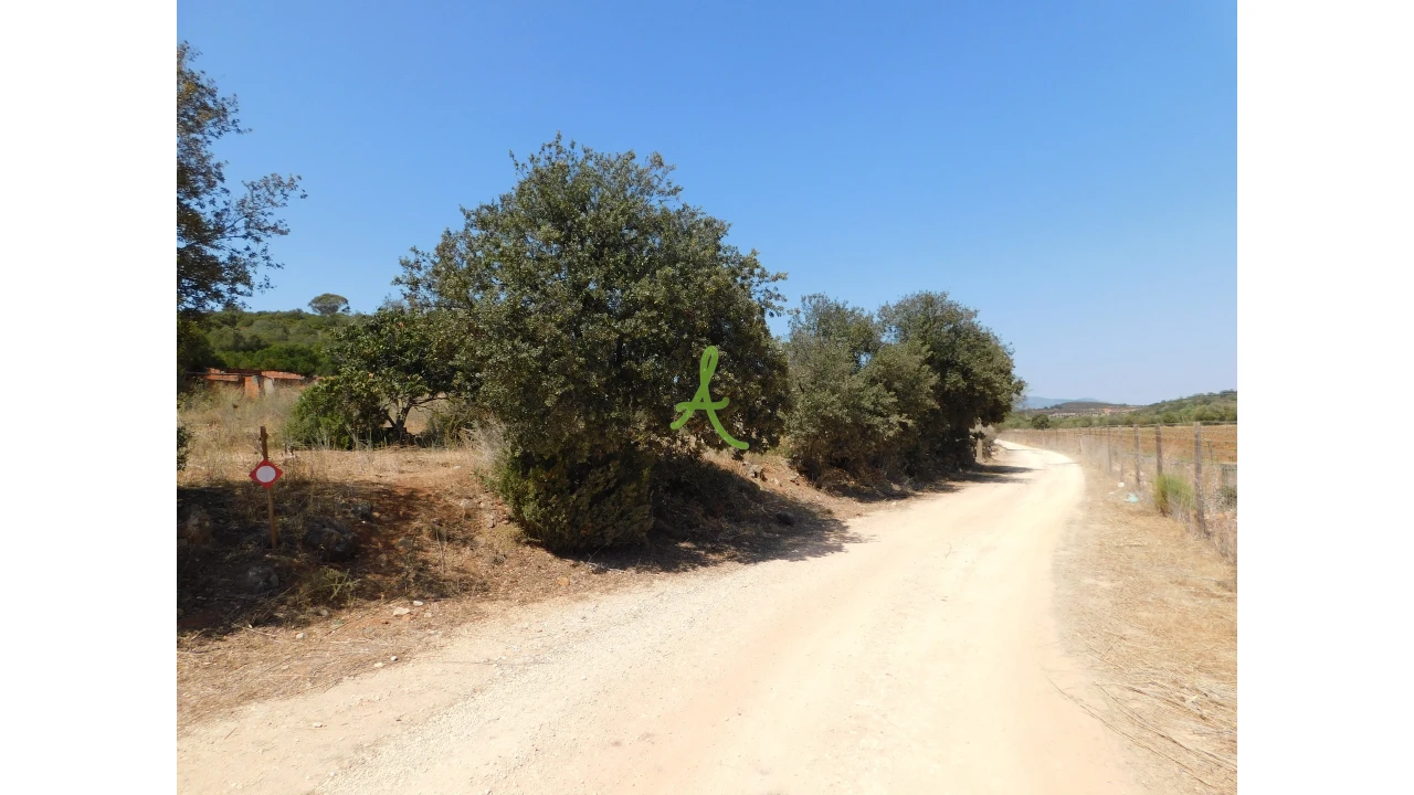 Terreno para Venda em Mexilhoeira Grande Foto 2