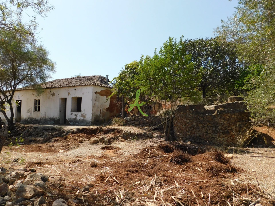 Terreno para Venda em Mexilhoeira Grande Foto 35