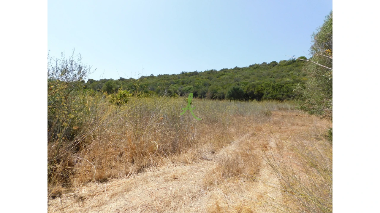 Terreno para Venda em Mexilhoeira Grande Foto 22