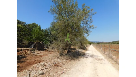 Terreno para Venda em Mexilhoeira Grande