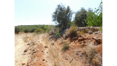 Terreno para Venda em Mexilhoeira Grande