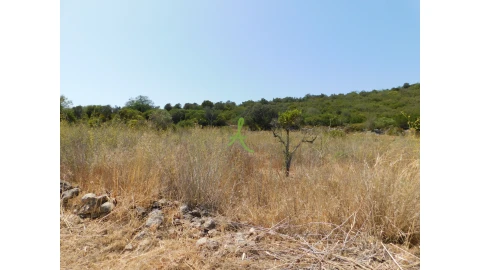 Terreno para Venda em Mexilhoeira Grande