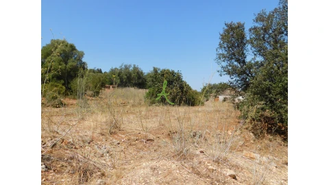 Terreno para Venda em Mexilhoeira Grande