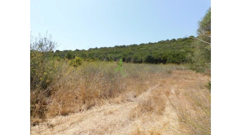 Terreno para Venda em Mexilhoeira Grande