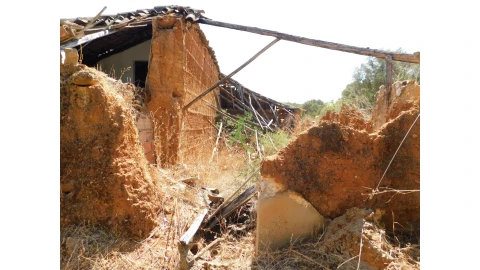 Terreno para Venda em Mexilhoeira Grande