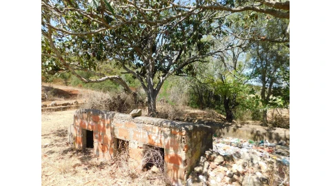 Terreno para Venda em Mexilhoeira Grande