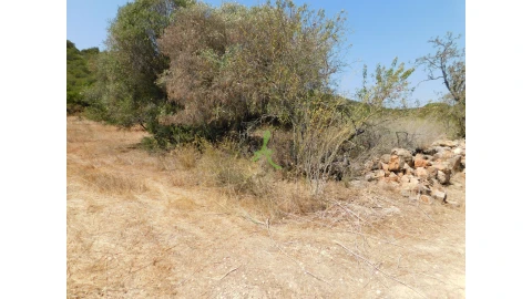 Terreno para Venda em Mexilhoeira Grande