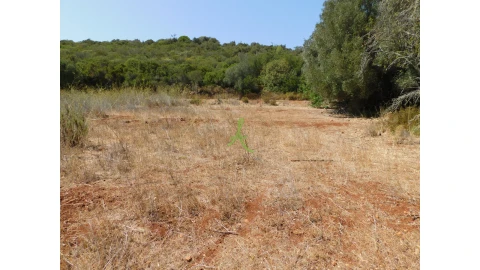 Terreno para Venda em Mexilhoeira Grande