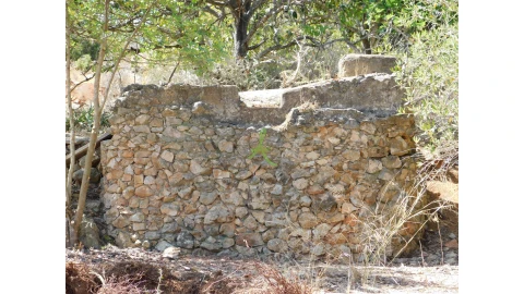 Terreno para Venda em Mexilhoeira Grande