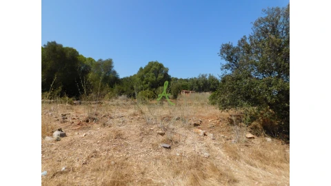 Terreno para Venda em Mexilhoeira Grande