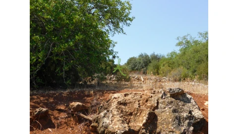 Terreno para Venda em Mexilhoeira Grande