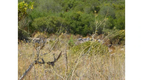 Terreno para Venda em Mexilhoeira Grande
