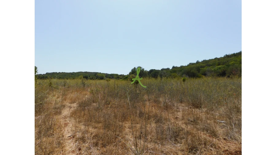 Terreno para Venda em Mexilhoeira Grande Foto 23