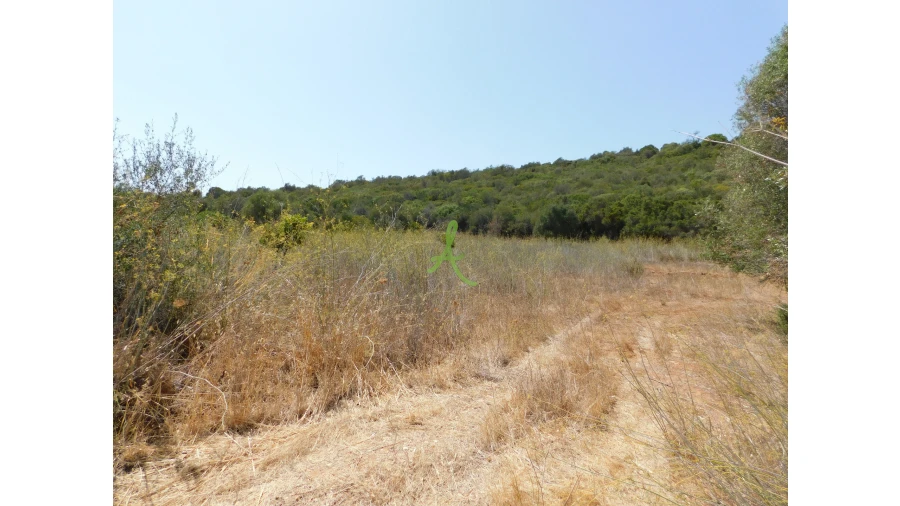 Terreno para Venda em Mexilhoeira Grande Foto 22