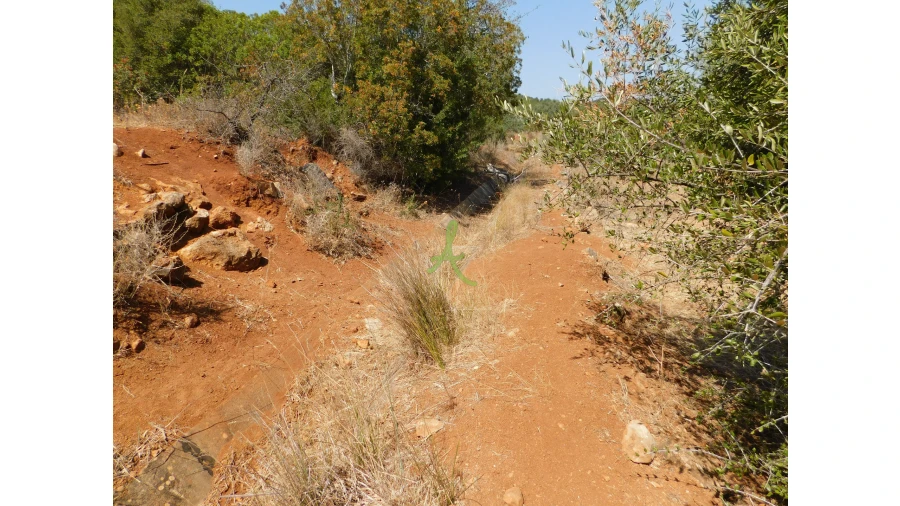 Terreno para Venda em Mexilhoeira Grande Foto 28
