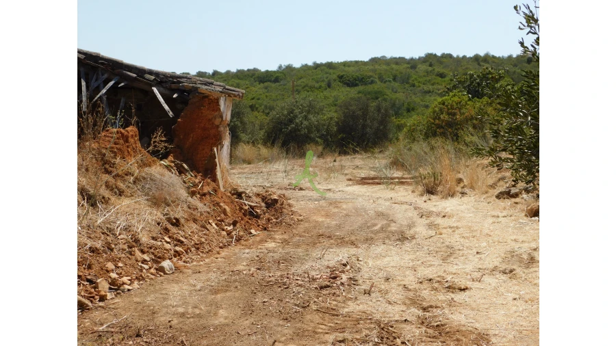 Terreno para Venda em Mexilhoeira Grande Foto 30