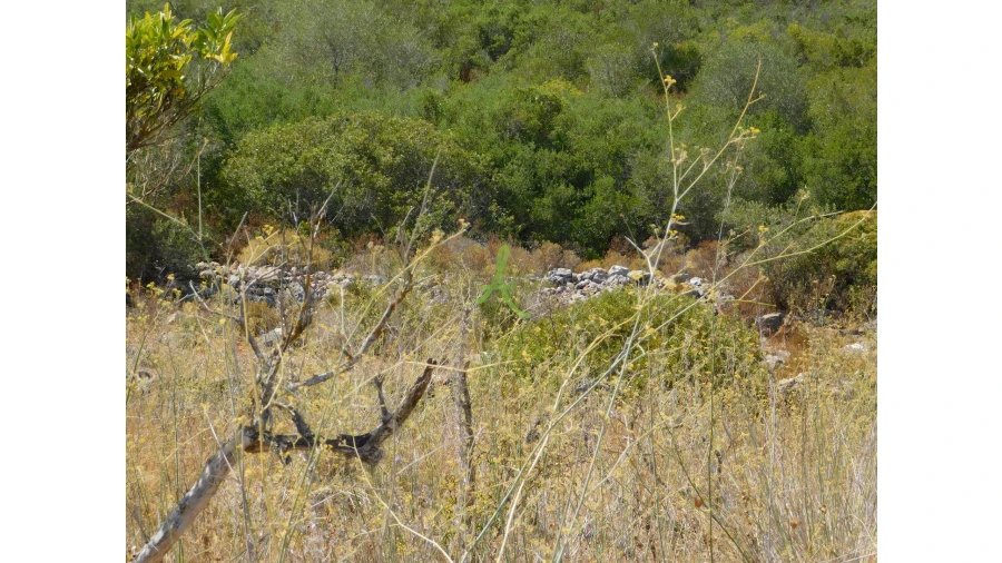 Terreno para Venda em Mexilhoeira Grande Foto 20